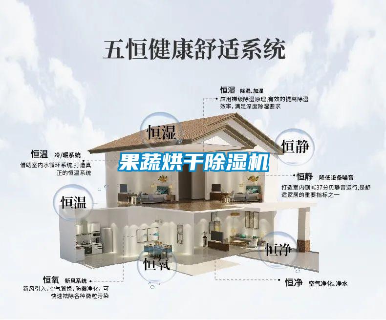 欧美黄色电影在线播放 果蔬烘干除湿机