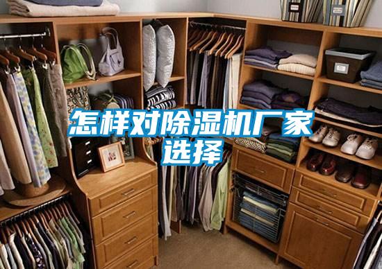 欧美黄色性爱视频网站 怎样对除湿机厂家选择