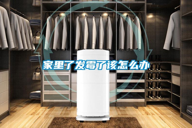 欧美成色手机在线观看 家里了发霉了该怎么办