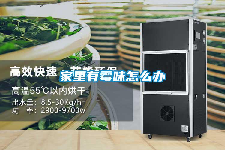 欧美成色手机在线观看 家里有霉味怎么办
