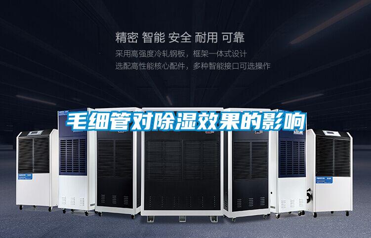 欧美黄色电影在线播放 毛细管对除湿效果的影响