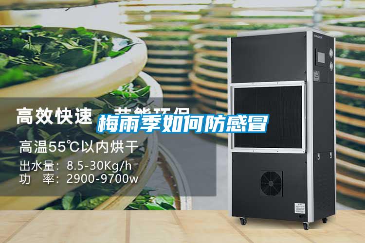 欧美成色手机在线观看 梅雨季如何防感冒