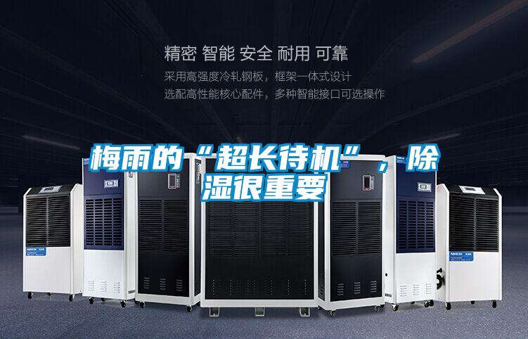 欧美黄色电影在线播放 梅雨的“超长待机”，除湿很重要