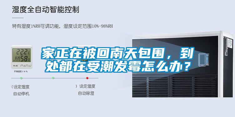 欧美成色手机在线观看 家正在被回南天包围，到处都在受潮发霉怎么办？