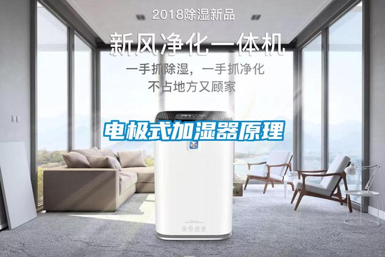 欧美成色手机在线观看 电极式加湿器原理