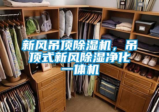 欧美成色手机在线观看 新风吊顶除湿机，吊顶式新风除湿净化一体机
