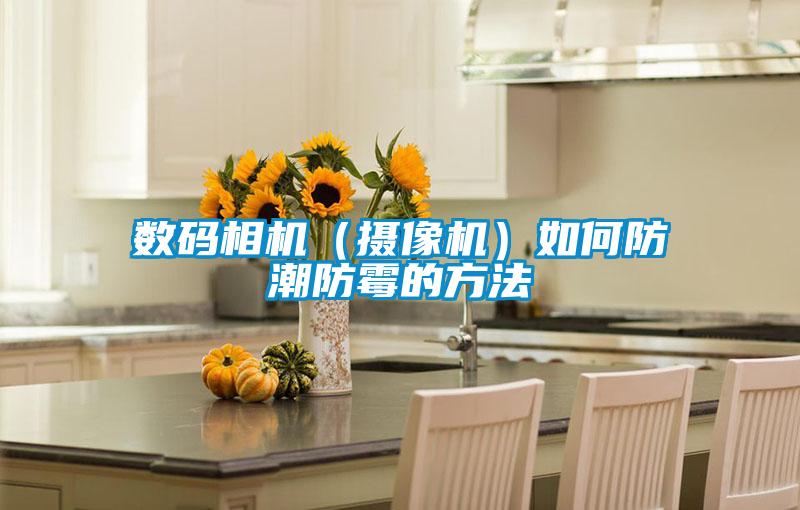 欧美成色手机在线观看 数码相机（摄像机）如何防潮防霉的方法