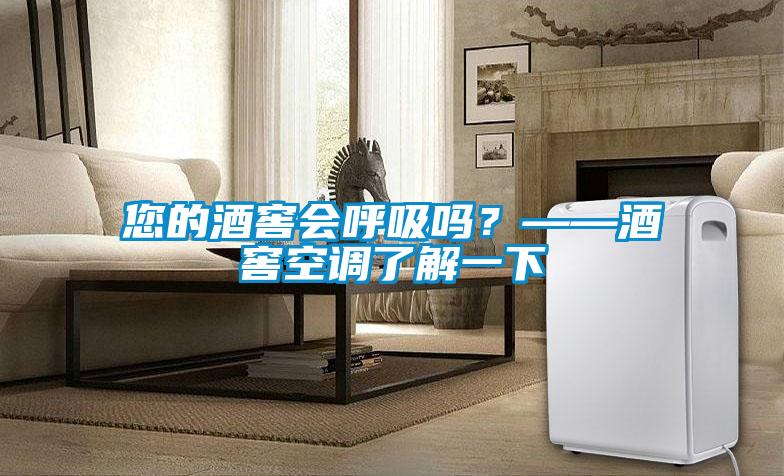欧美黄色性爱视频网站 您的酒窖会呼吸吗？——酒窖空调了解一下
