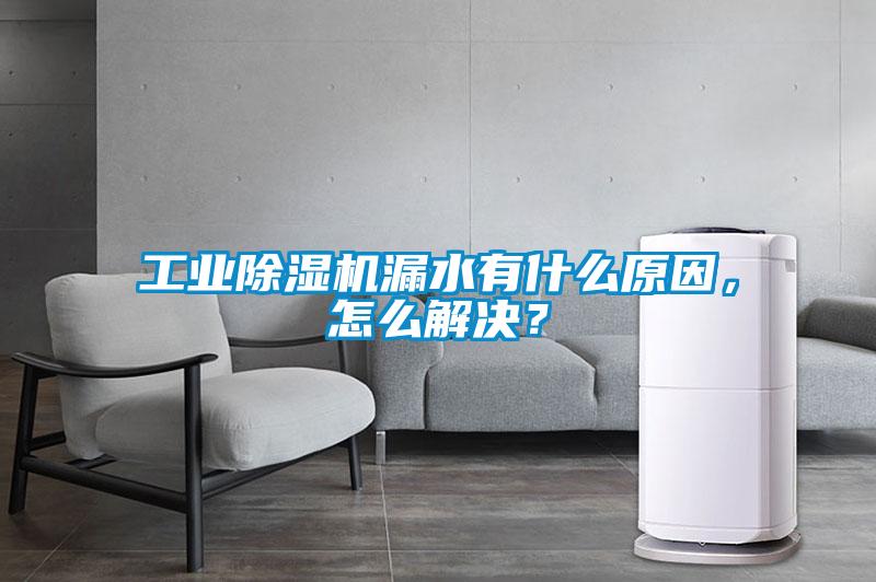 欧美黄色性爱视频网站 工业除湿机漏水有什么原因，怎么解决？