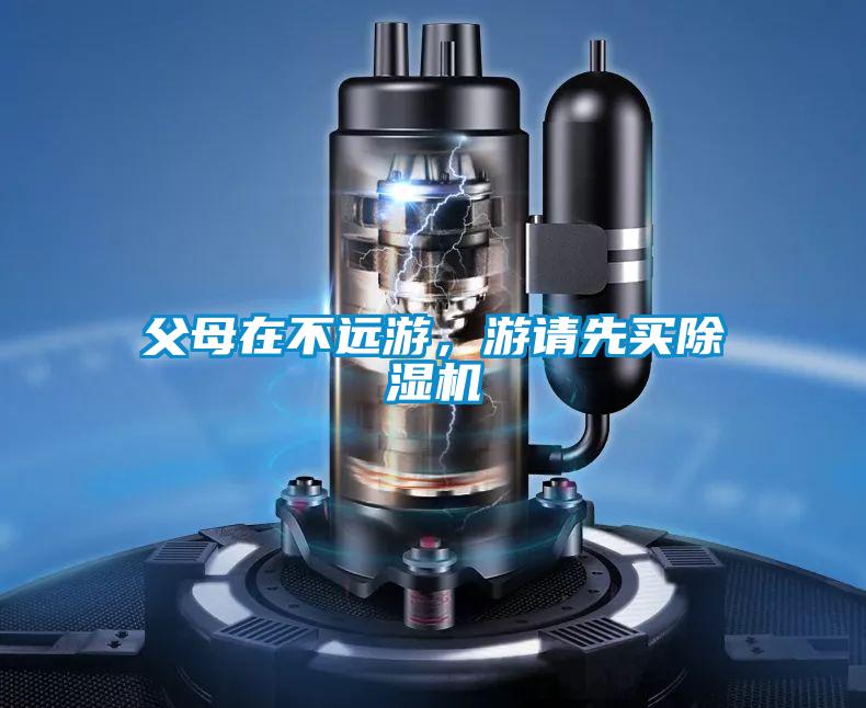 欧美黄色性爱视频网站 父母在不远游，游请先买除湿机