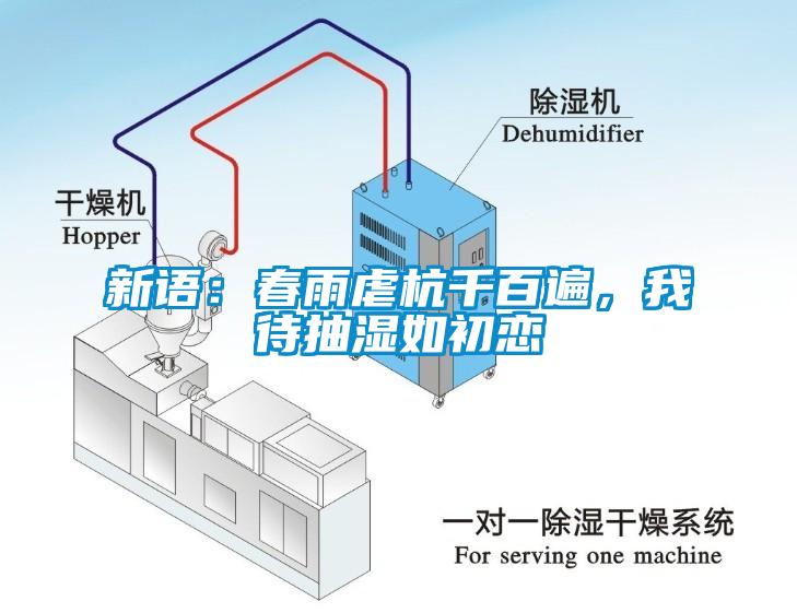 欧美成色手机在线观看 新语：春雨虐杭千百遍，我待抽湿如初恋