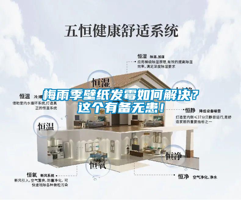 欧美黄色性爱视频网站 梅雨季壁纸发霉如何解决？这个有备无患！