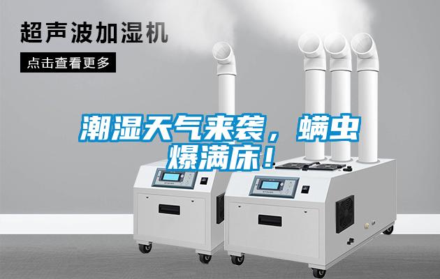 欧美成色手机在线观看 潮湿天气来袭，螨虫爆满床！