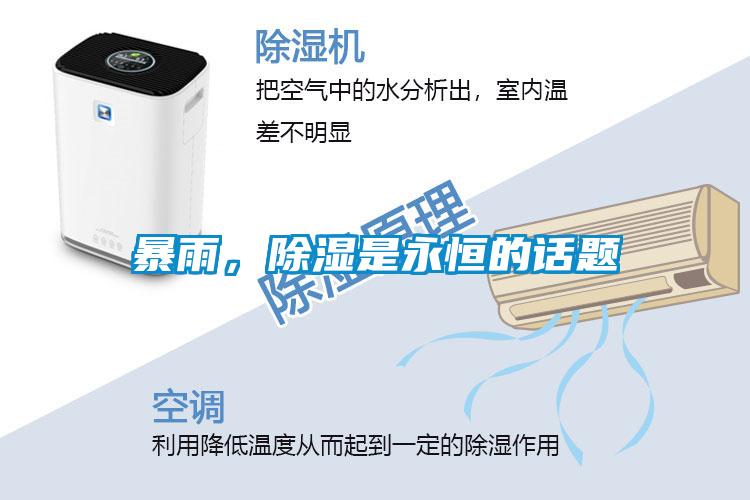欧美成色手机在线观看 暴雨，除湿是永恒的话题