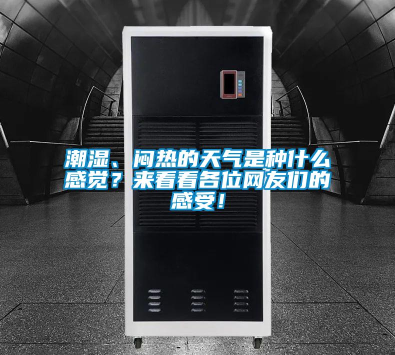 欧美黄色性爱视频网站 潮湿、闷热的天气是种什么感觉？来看看各位网友们的感受！