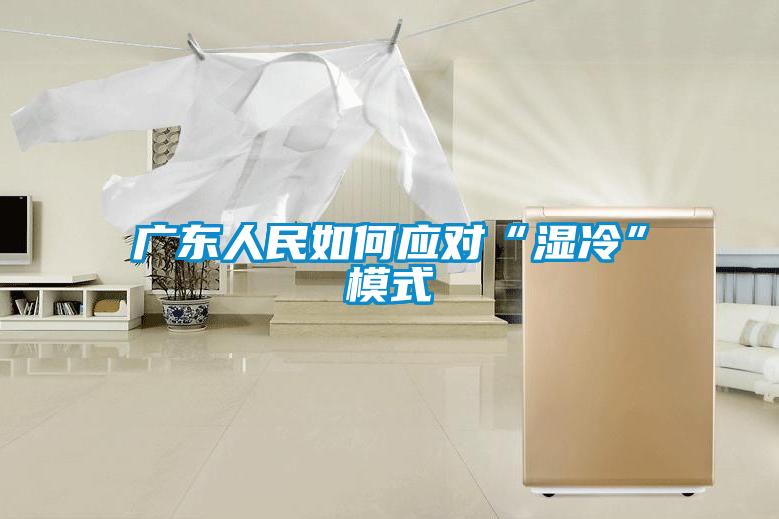 欧美黄色性爱视频网站 广东人民如何应对“湿冷”模式