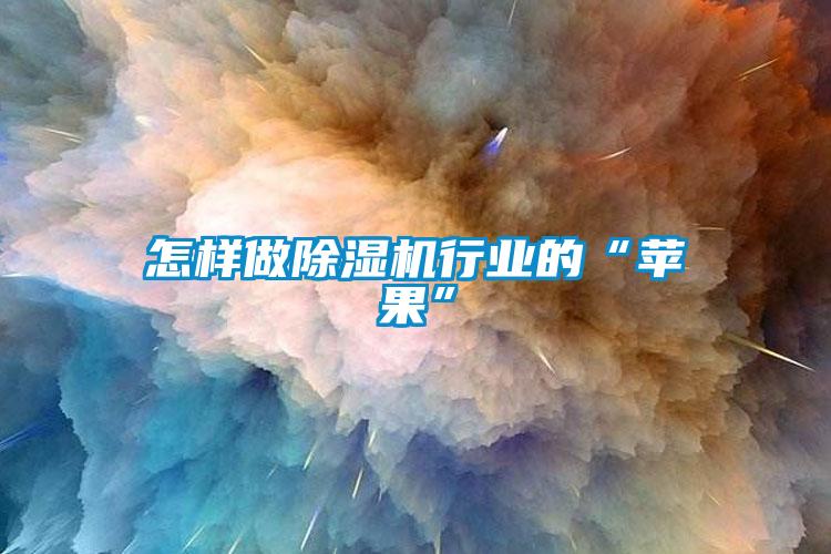欧美黄色电影在线播放 怎样做除湿机行业的“苹果”