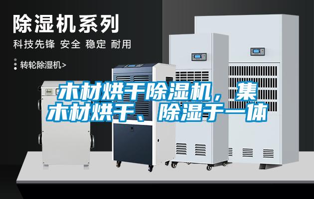 欧美黄色性爱视频网站 木材烘干除湿机，集木材烘干、除湿于一体