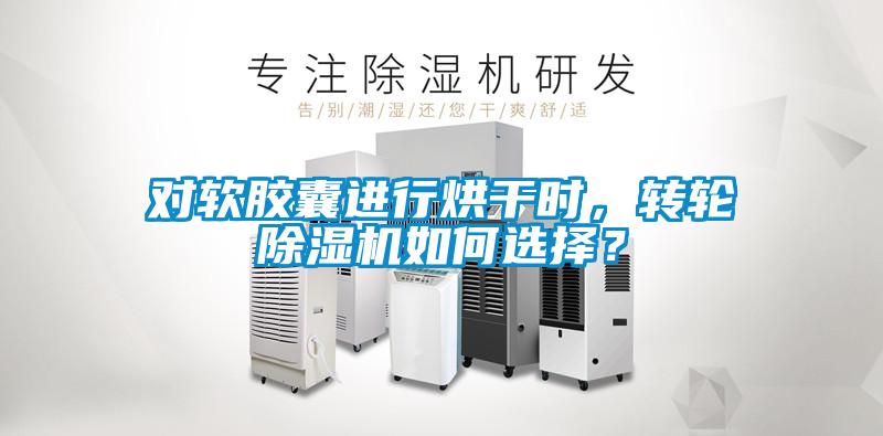 欧美成色手机在线观看 对软胶囊进行烘干时，转轮除湿机如何选择？