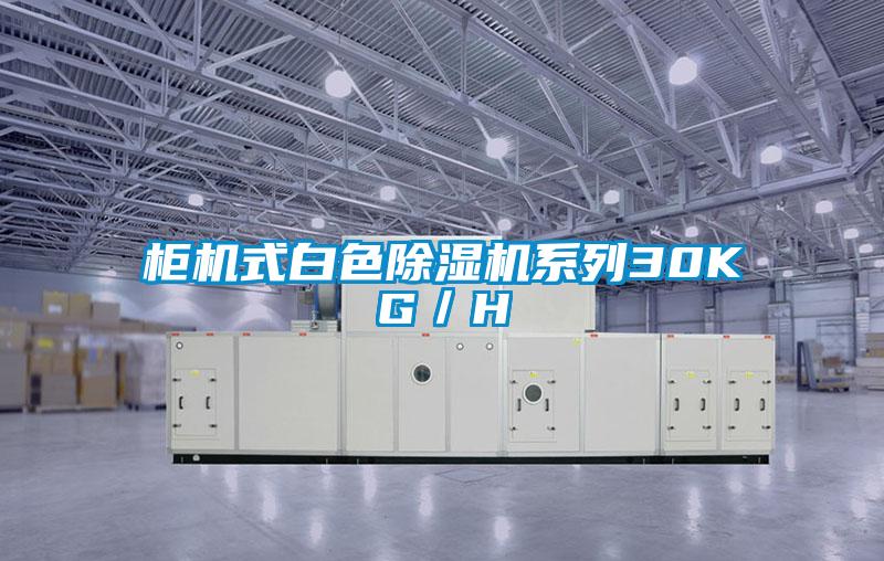 欧美成色手机在线观看 柜机式白色除湿机系列30KG／H