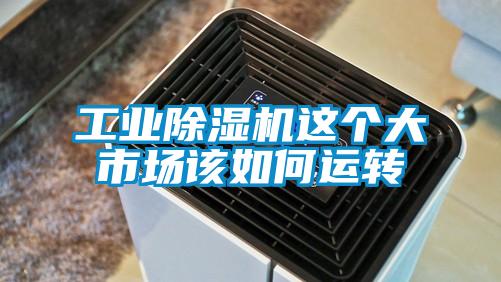 欧美黄色电影在线播放 工业除湿机这个大市场该如何运转