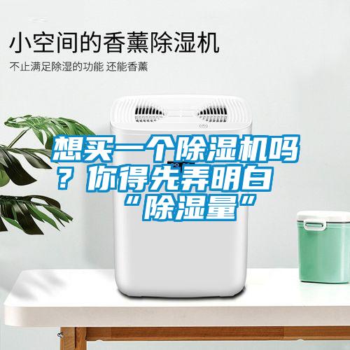 欧美成色手机在线观看 想买一个除湿机吗？你得先弄明白“除湿量”