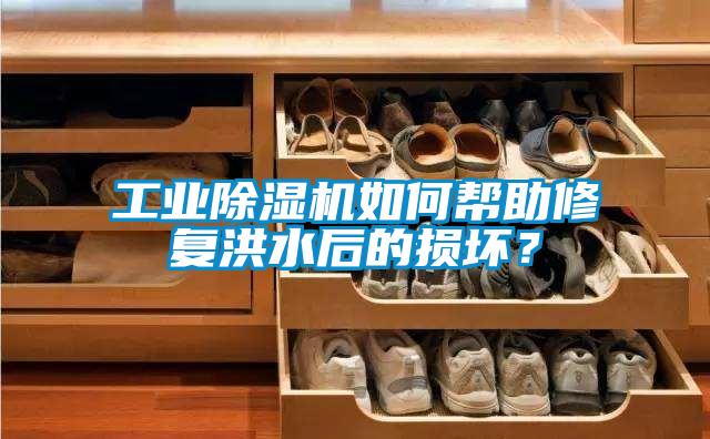 欧美黄色电影在线播放 工业除湿机如何帮助修复洪水后的损坏？