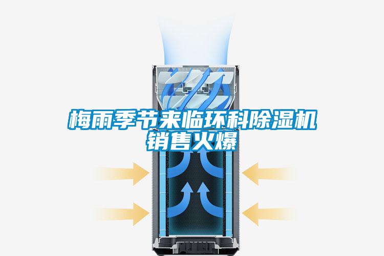 欧美黄色性爱视频网站 梅雨季节来临环科除湿机销售火爆