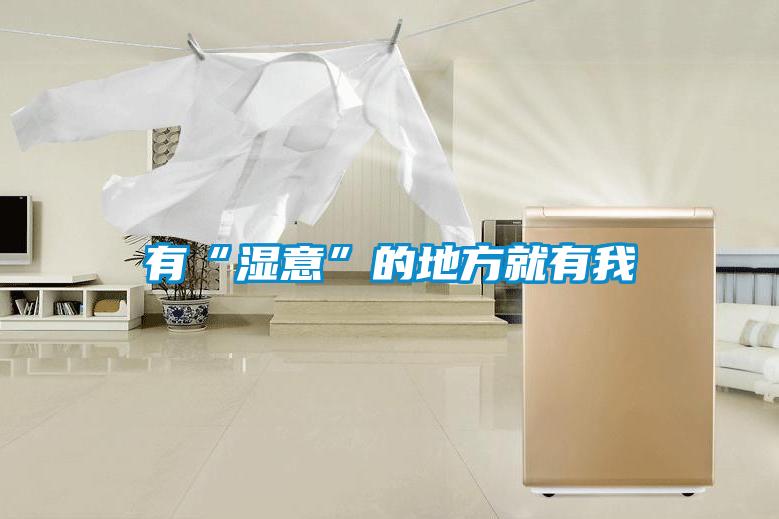 欧美黄色性爱视频网站 有“湿意”的地方就有我