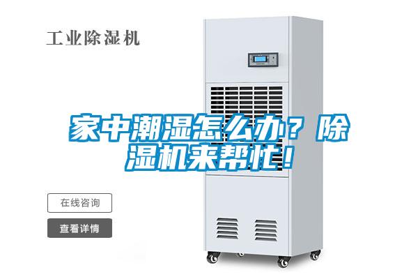 欧美成色手机在线观看 家中潮湿怎么办？除湿机来帮忙！