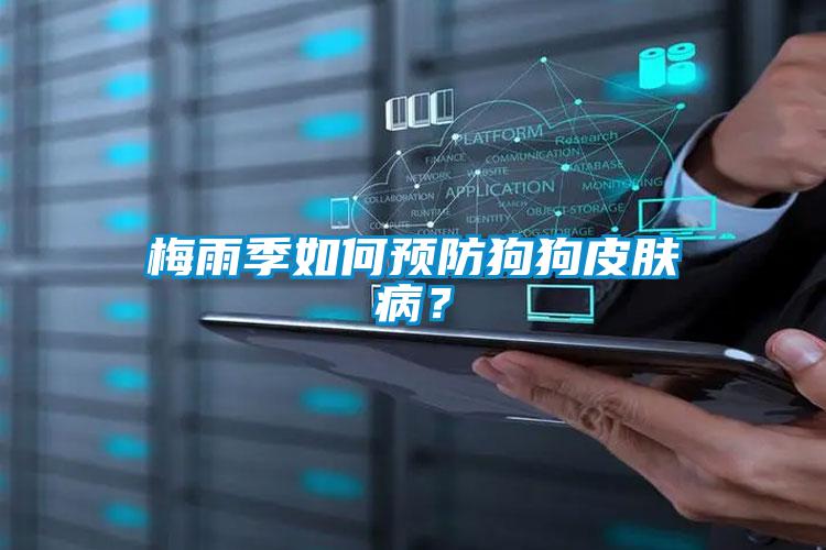欧美黄色电影在线播放 梅雨季如何预防狗狗皮肤病？