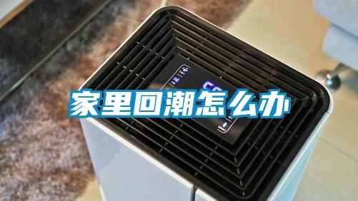 欧美黄色性爱视频网站 家里回潮怎么办