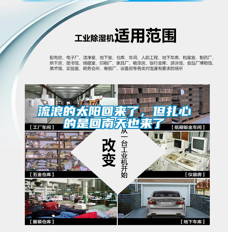 欧美黄色电影在线播放 流浪的太阳回来了，但扎心的是回南天也来了