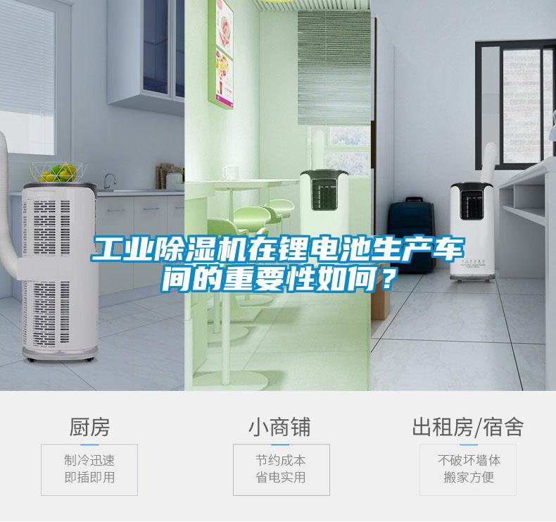 欧美成色手机在线观看 工业除湿机在锂电池生产车间的重要性如何？