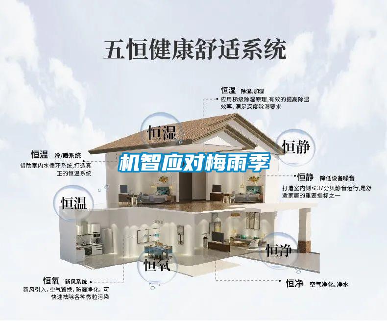 欧美黄色性爱视频网站 机智应对梅雨季