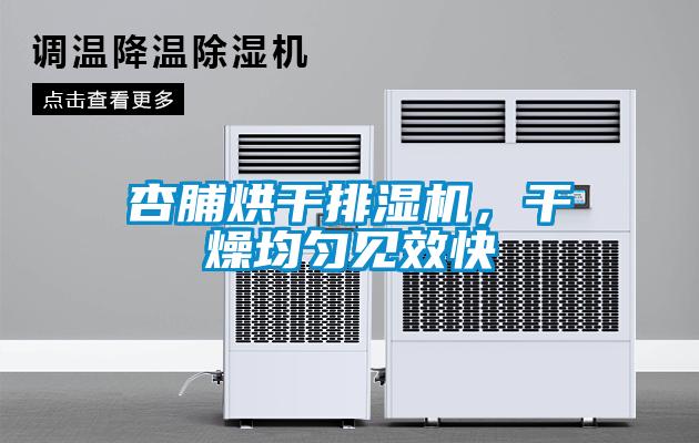 欧美黄色电影在线播放 杏脯烘干排湿机，干燥均匀见效快
