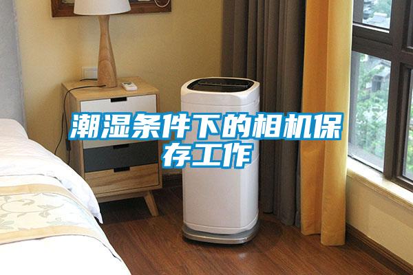 潮湿条件下的相机保存工作