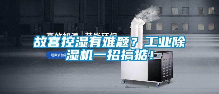 欧美黄色性爱视频网站 故宫控湿有难题？工业除湿机一招搞掂！