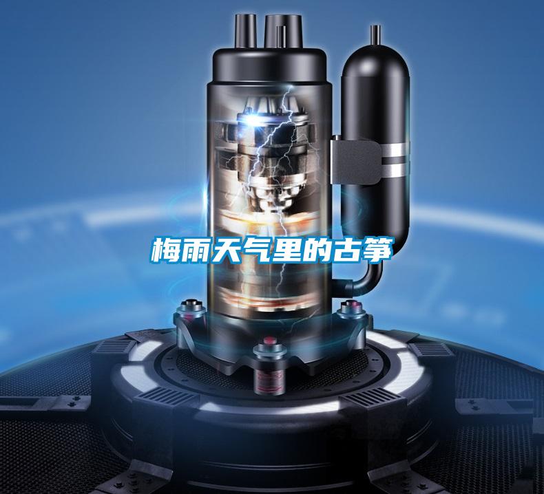 欧美黄色性爱视频网站 梅雨天气里的古筝