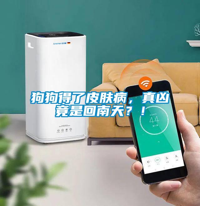 欧美成色手机在线观看 狗狗得了皮肤病，真凶竟是回南天？！