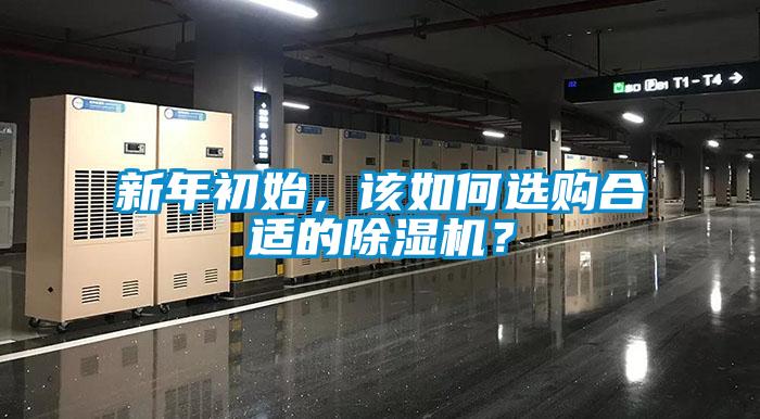 欧美黄色电影在线播放 新年初始，该如何选购合适的除湿机？