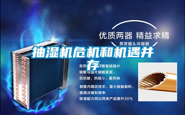 欧美黄色性爱视频网站 抽湿机危机和机遇并存