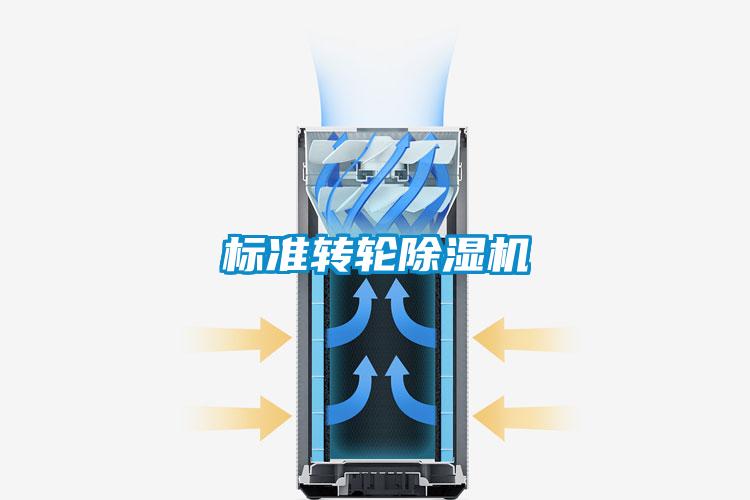 欧美黄色电影在线播放 标准转轮除湿机