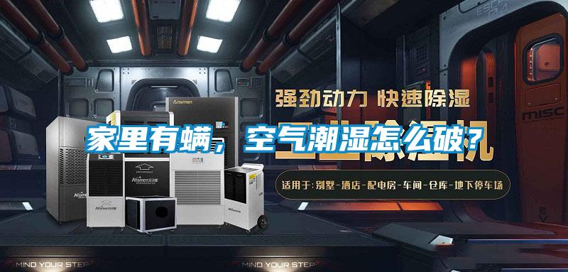 欧美黄色电影在线播放 家里有螨，空气潮湿怎么破？