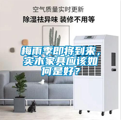 欧美黄色电影在线播放 梅雨季即将到来，实木家具应该如何是好？