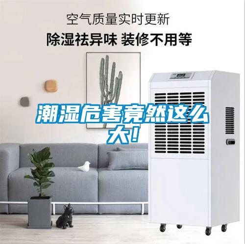 欧美成色手机在线观看 潮湿危害竟然这么大！