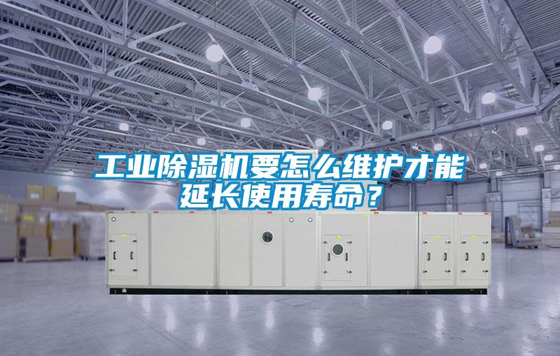 欧美成色手机在线观看 工业除湿机要怎么维护才能延长使用寿命？
