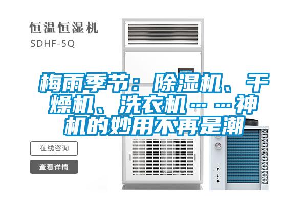 欧美成色手机在线观看 梅雨季节：除湿机、干燥机、洗衣机……神机的妙用不再是潮