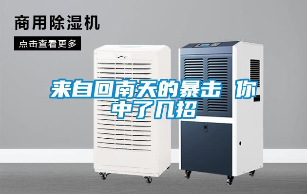 欧美黄色电影在线播放 来自回南天的暴击 你中了几招