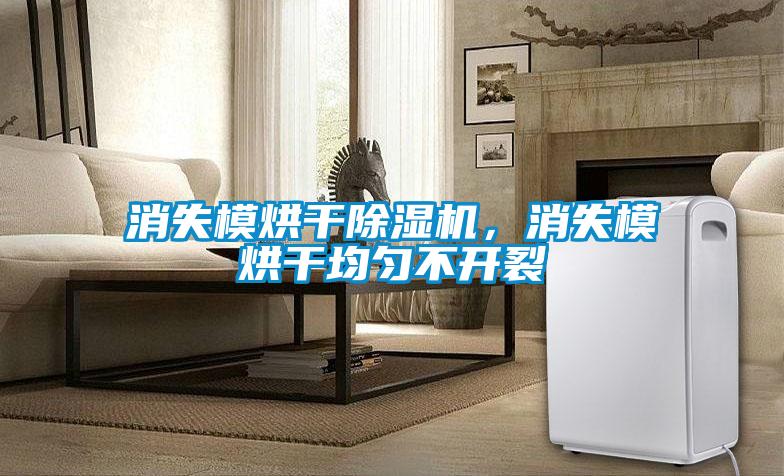 欧美黄色电影在线播放 消失模烘干除湿机，消失模烘干均匀不开裂